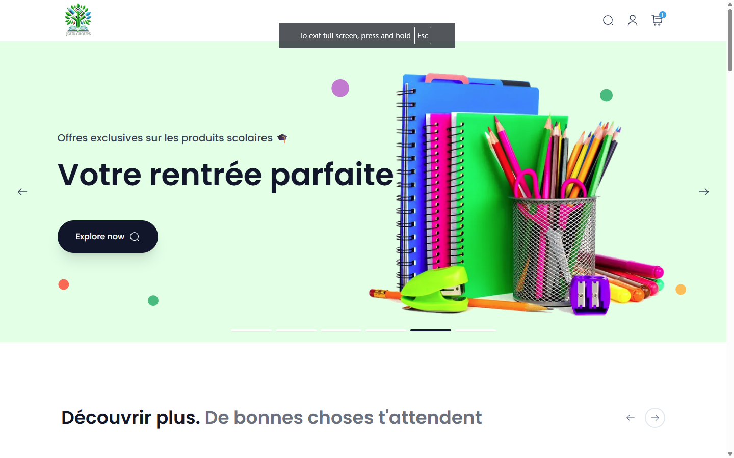 JOUD Groupe E-commerce